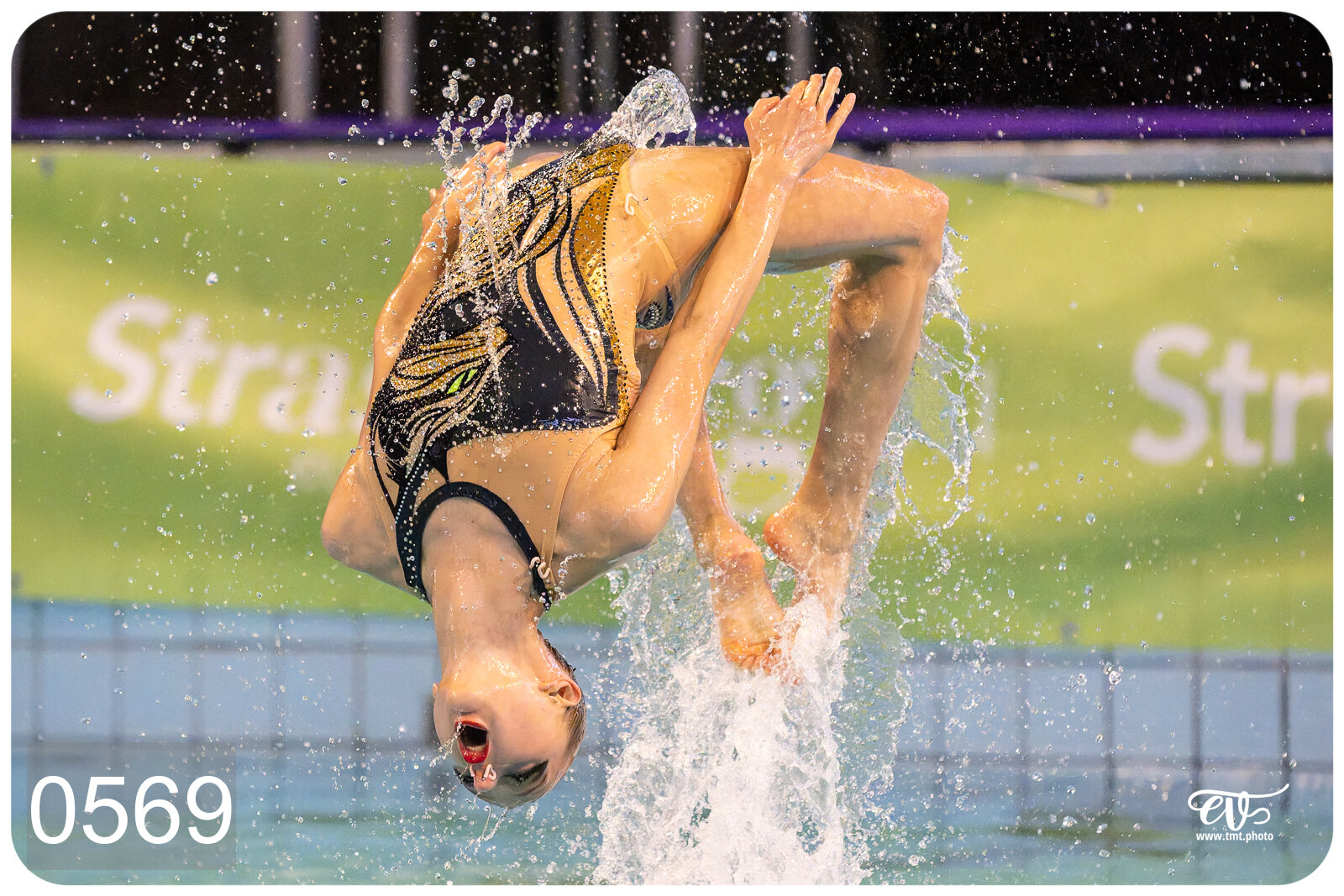 CHAMPIONNAT DE FRANCE DE NATATiON ARTISTIQUE N1 & ELITE 2026